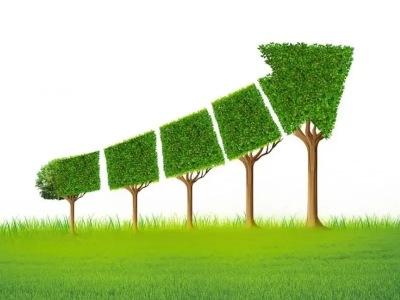 什么是碳邊境調(diào)節(jié)機(jī)制，對(duì)中國(guó)有哪些影響？